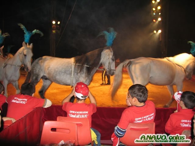 Circo12_jpg