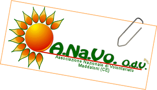 logo anavo